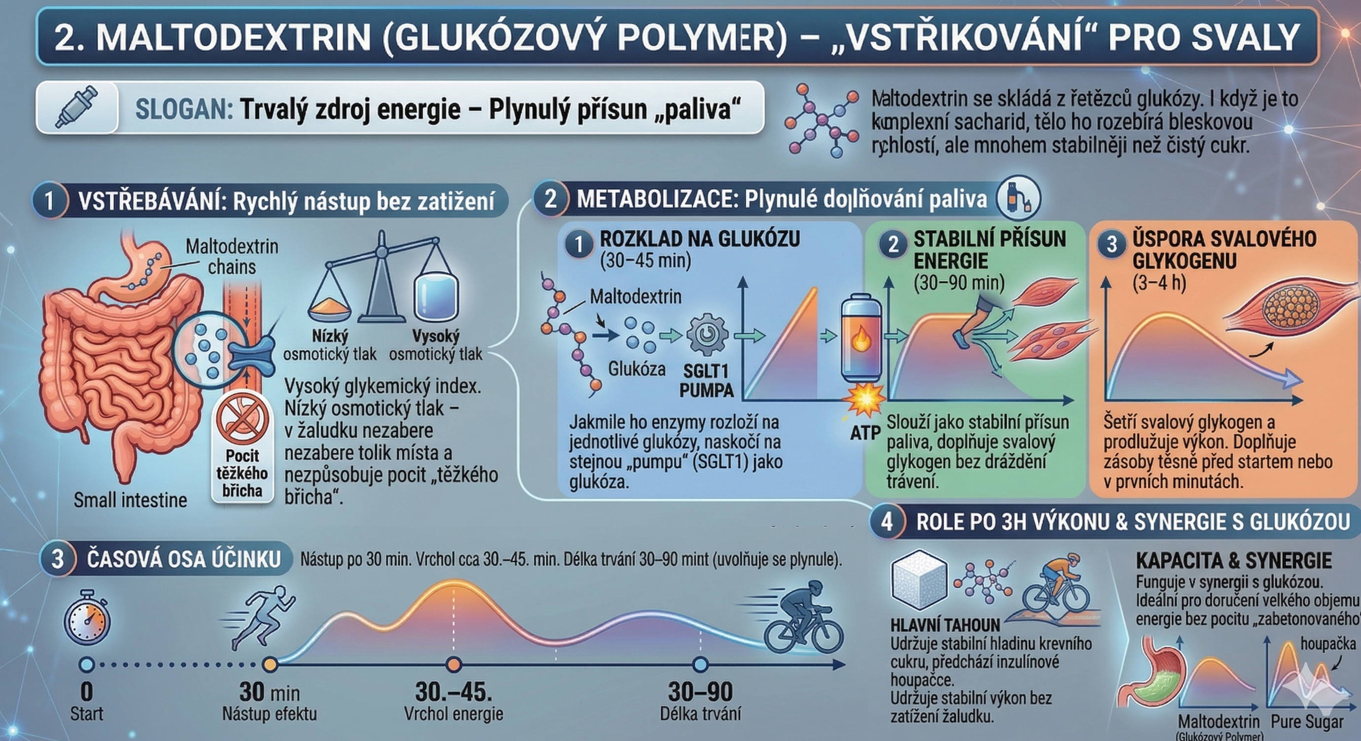 komplexni-infografika-maltodextrin